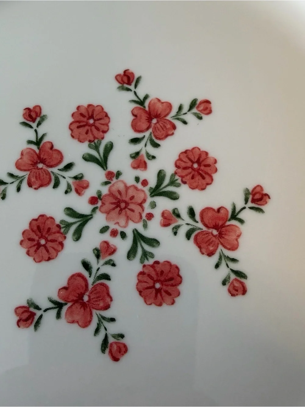 Set of 4 Cottage Floral Salad Plates Red Blue Flower 8.5